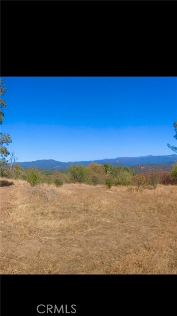 10 Old Oak Lane, Mariposa CA: https://media.crmls.org/medias/856e4d03-29bb-4542-a993-4bdd84cbdf0e.jpg