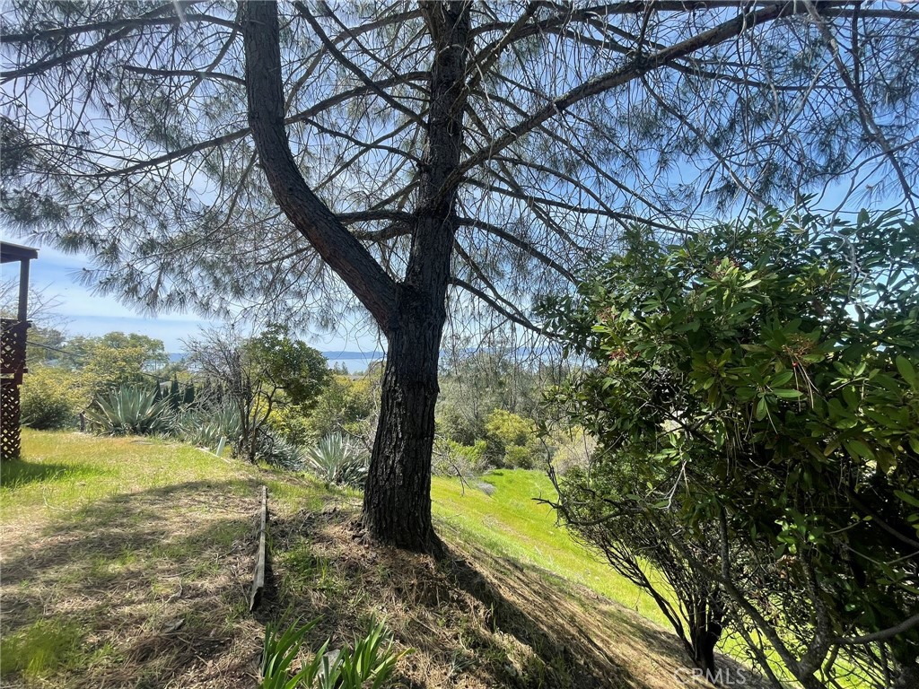 https://media.crmls.org/medias/8572af46-811a-4a8f-a1d3-47e6f0fd8272.jpg?preset=X-Large