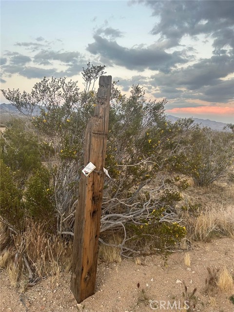 Detail Gallery Image 2 of 13 For 0 Lucerne Valley Cut off, Lucerne Valley,  CA 92356 - – Beds | – Baths