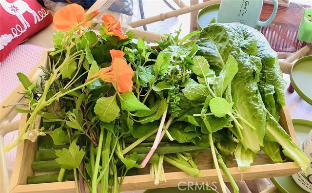 Detail Gallery Image 37 of 39 For Address Is Not Disclosed, Gardena,  CA 90249 - 5 Beds | 4 Baths