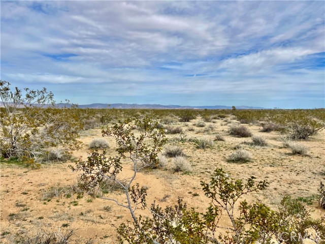 Detail Gallery Image 3 of 12 For 0 Willies Way, Joshua Tree,  CA 92285 - – Beds | – Baths