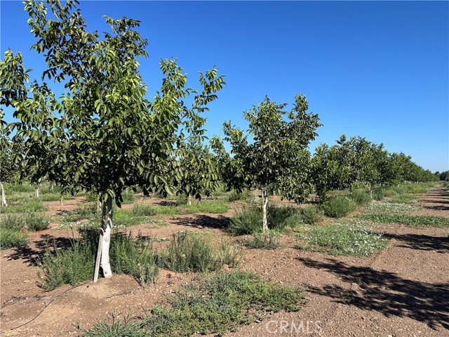 0 Kelly W Lane, Chico CA: https://media.crmls.org/medias/85883156-de7f-4f13-9e62-00b5325485d7.jpg