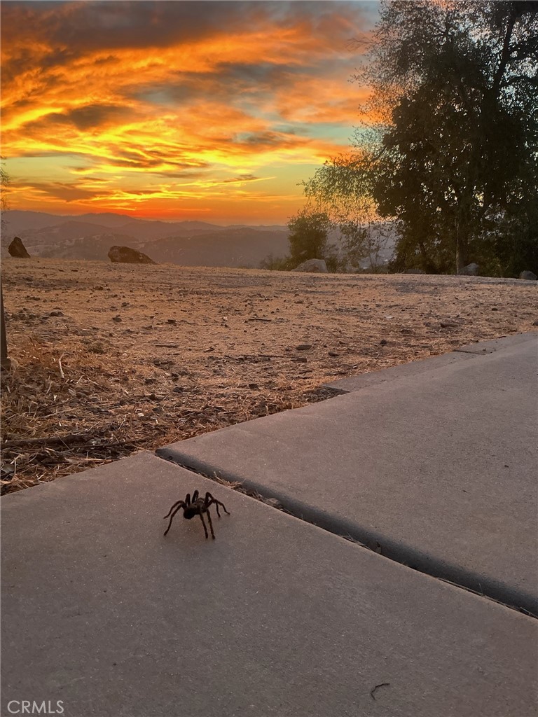 https://media.crmls.org/medias/858afdd3-5fc9-4b09-a909-76e2f404f3df.jpg?preset=X-Large