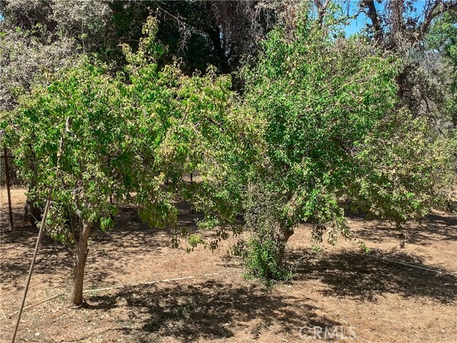 5857 Allred Road, Mariposa CA: https://media.crmls.org/medias/858db727-ff85-421f-9159-0ba351fbda83.jpg