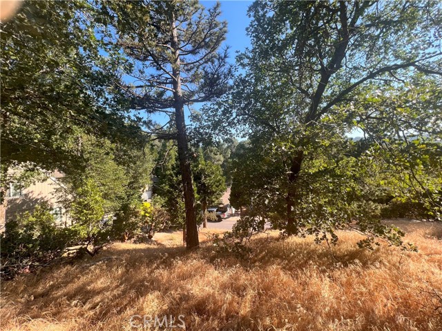 0 Arth Drive, Crestline, California 92325, ,Land,For Sale,0 Arth Drive,CRHD23124328