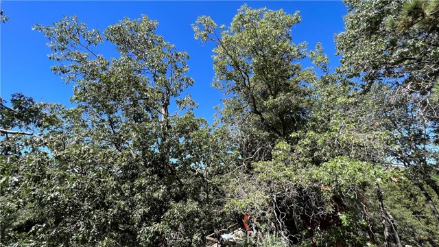 Detail Gallery Image 24 of 46 For 33478 Angeles Dr, Green Valley Lake,  CA 92341 - 2 Beds | 2 Baths
