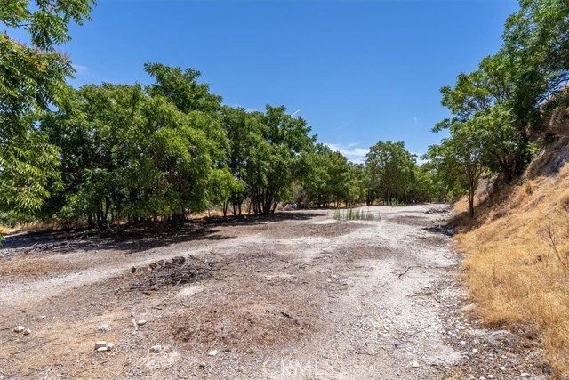 0 Vine Street, Paso Robles CA: https://media.crmls.org/medias/858f9795-e2c9-4833-959c-402ce4609090.jpg