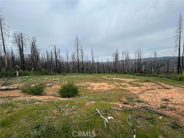 Front Image Thumbnail for CROR26070066