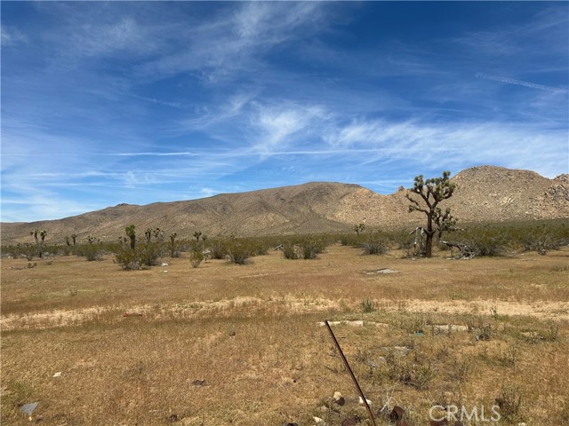 Detail Gallery Image 9 of 19 For 26705 Corwin, Apple Valley,  CA 92307 - – Beds | – Baths