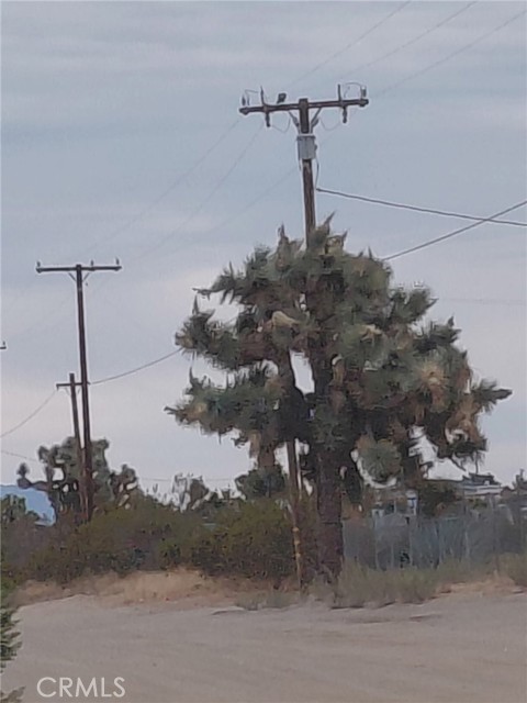  Land for Sale in Phelan, California