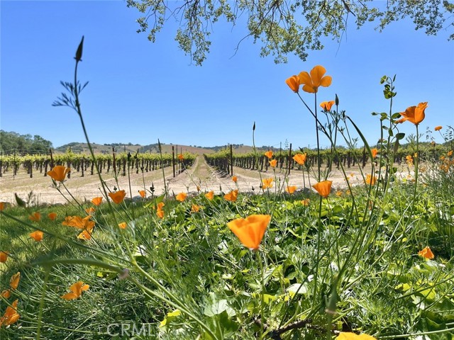 53600 Bradley Lockwood Road, Lockwood CA: https://media.crmls.org/medias/85a2801b-a6e4-4d0d-98e2-a6188bcc316d.jpg