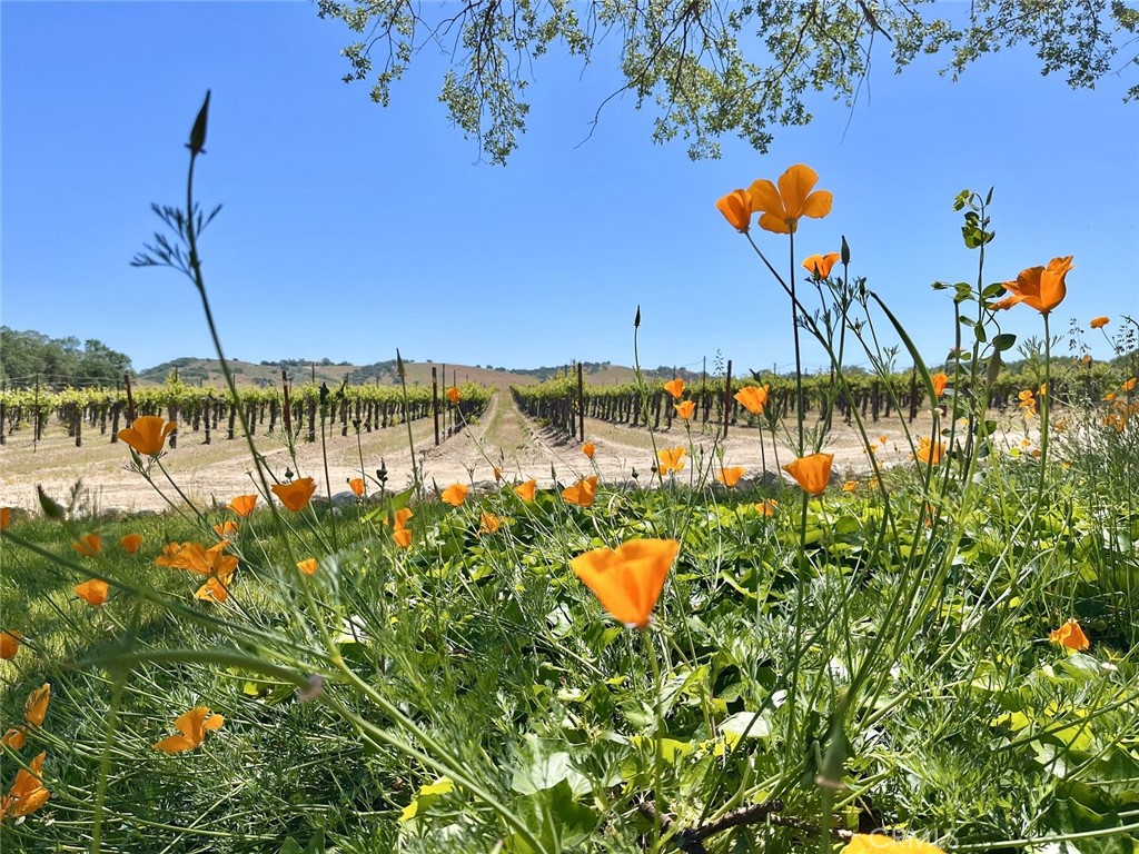 https://media.crmls.org/medias/85a2801b-a6e4-4d0d-98e2-a6188bcc316d.jpg?preset=X-Large