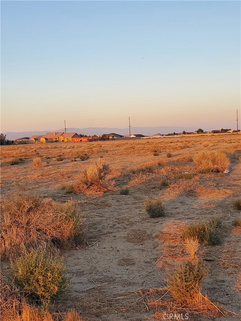 MLS #DW25252980 image #13