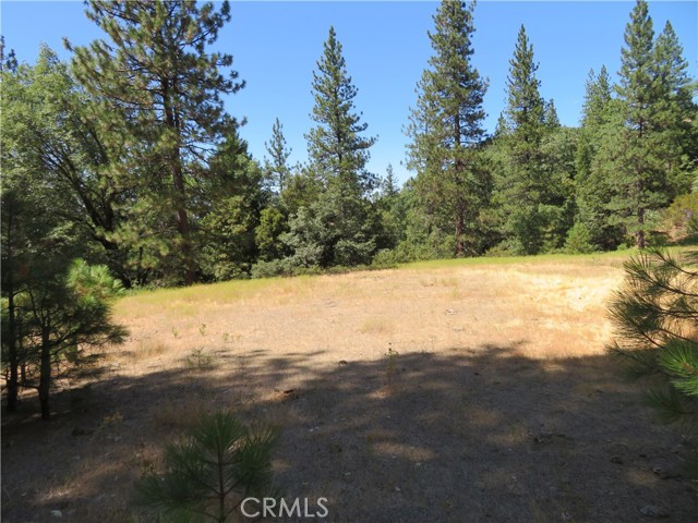 0 Barns Ranch Road, Covelo, California 95428, ,Land,For Sale,0 Barns Ranch Road,CRSN23031018