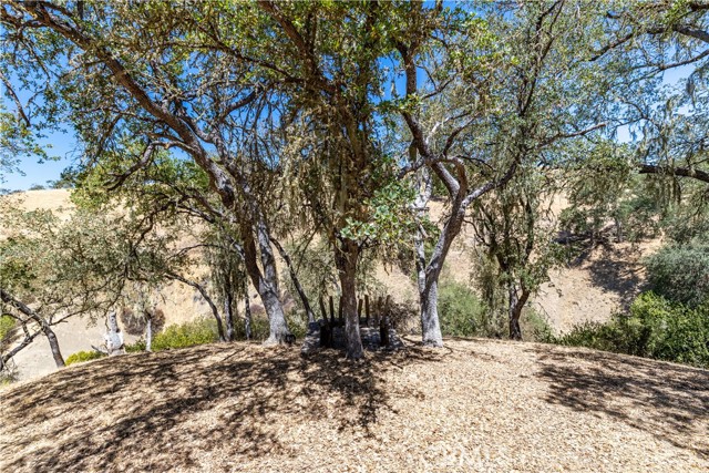 4250 Skylink Lane, Paso Robles CA: https://media.crmls.org/medias/85ae7fa7-a2f7-4867-bea0-e7fe470cb91f.jpg