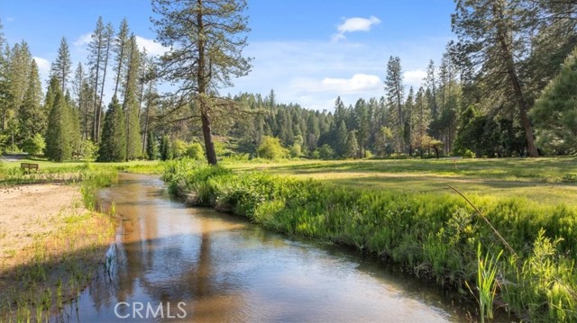 Detail Gallery Image 56 of 69 For 9 Apple Hill Cir, Berry Creek,  CA 95916 - 3 Beds | 2 Baths