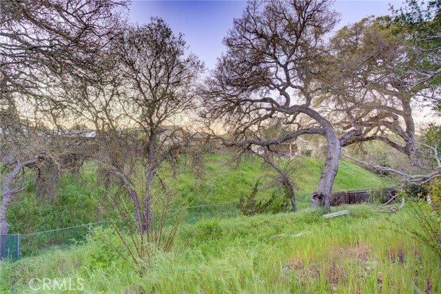 Detail Gallery Image 53 of 60 For 842 Saint Andrews, Paso Robles,  CA 93446 - 3 Beds | 2 Baths