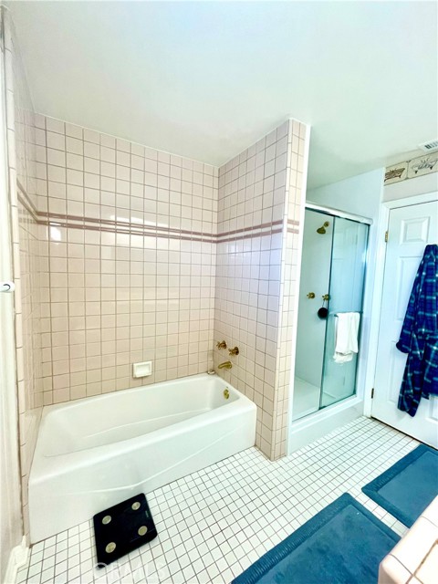 Guest/Hall bathroom with separate tub and walk-in shower