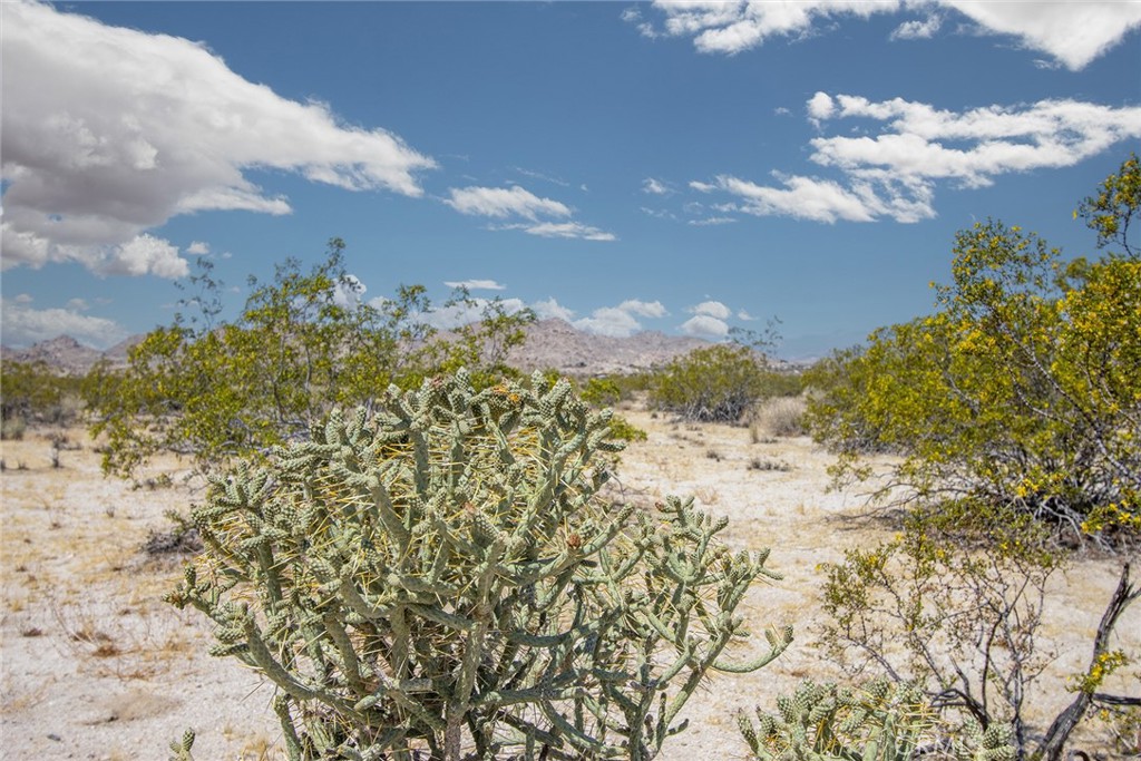 MLS #JT25031974 image #17