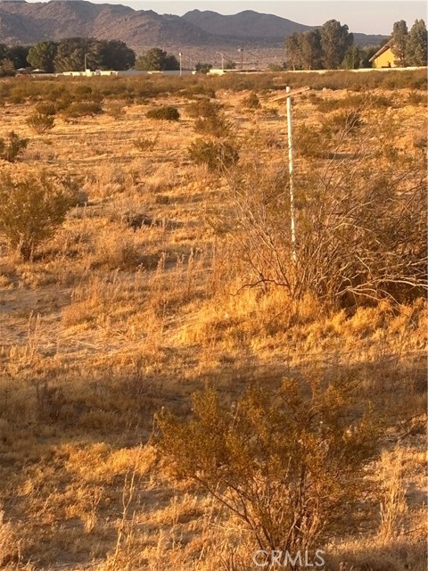  Land for Sale in Black Butte, California