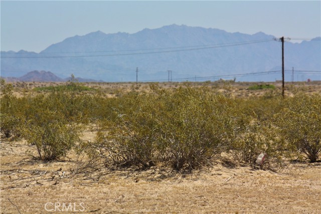 Desert Queen Ave., Twentynine Palms, CA 92277 Listing Photo  4