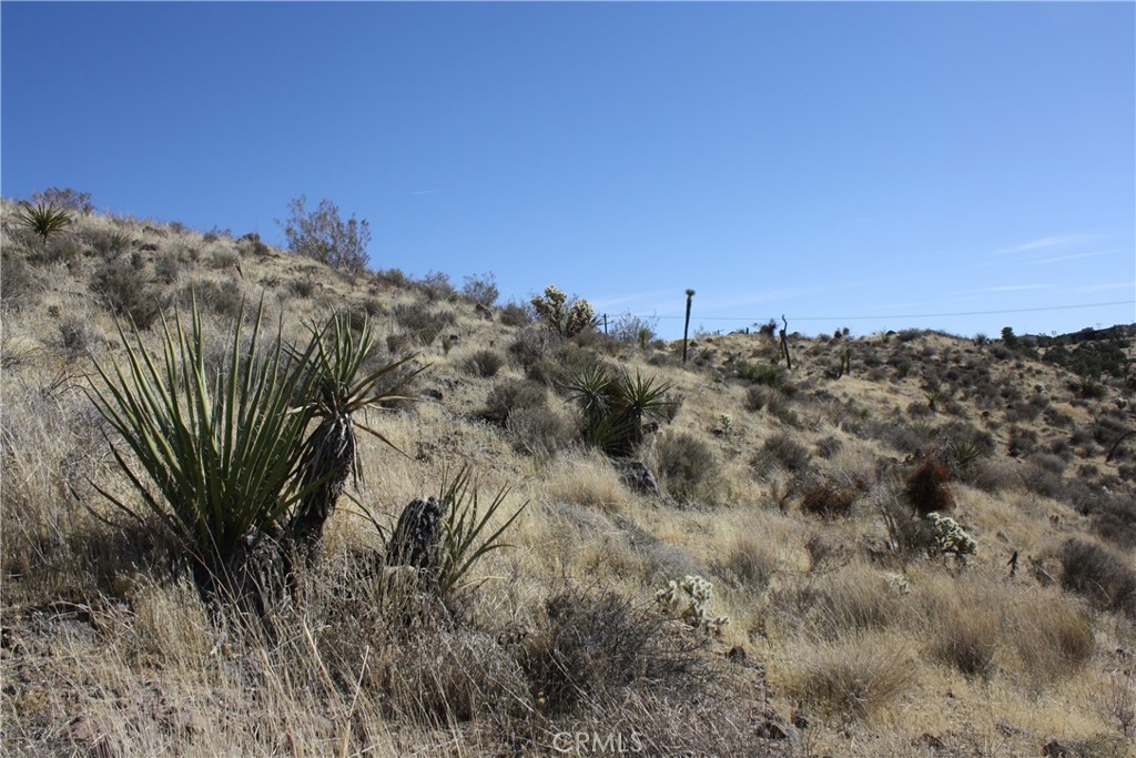 MLS #JT25038167 image #8