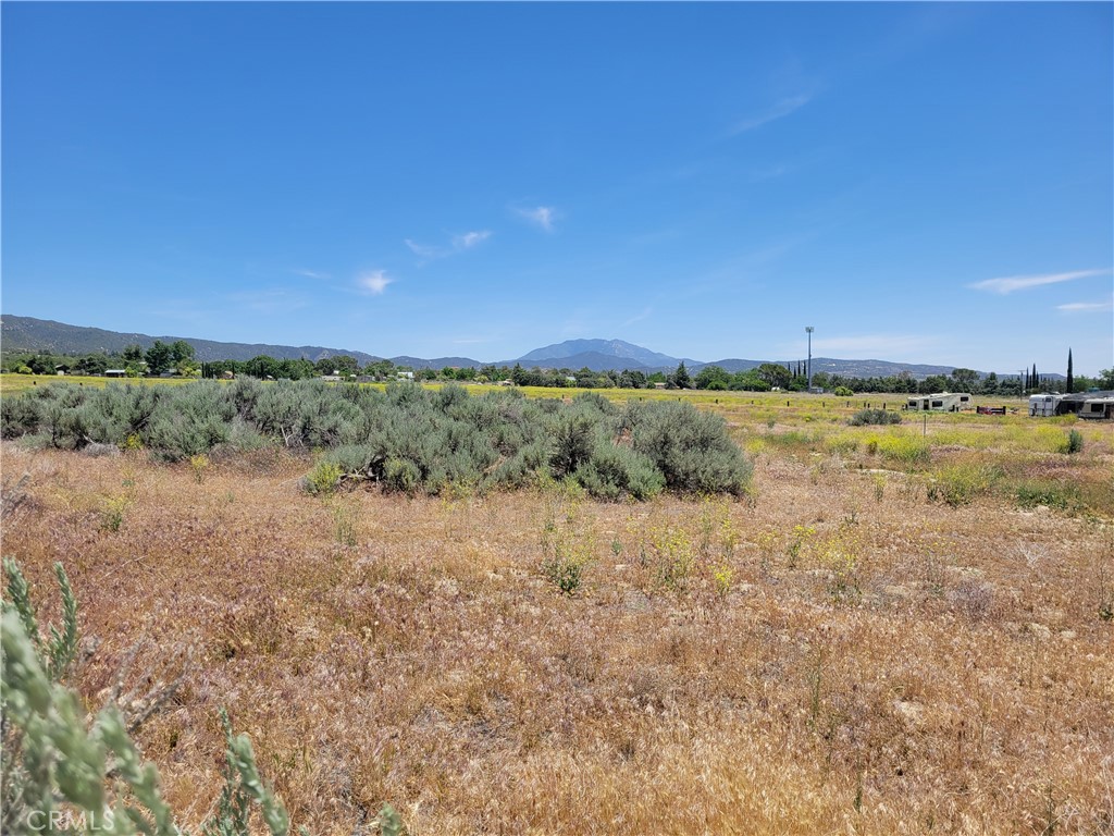 49 Bonita Vista