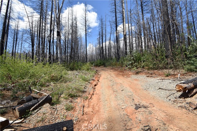 93 Stump Ranch Road, Berry Creek, CA, 95916 93 Stump Ranch Road, Berry Creek, CA, 95916