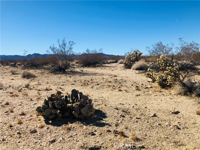 Detail Gallery Image 7 of 9 For 5 Appian Way, Twentynine Palms,  CA 92277 - – Beds | – Baths