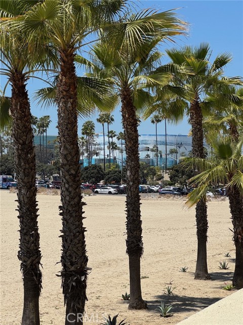 Detail Gallery Image 13 of 23 For 1000 E Ocean Bld #101,  Long Beach,  CA 90802 - 3 Beds | 2 Baths