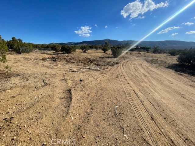 985 Cholla, Pinon Hills, CA, 92372 985 Cholla, Pinon Hills, CA, 92372