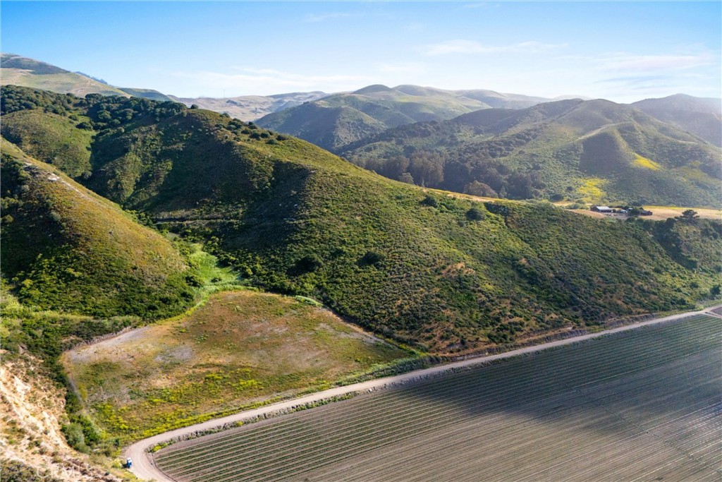 MLS #PI25199256 image #9