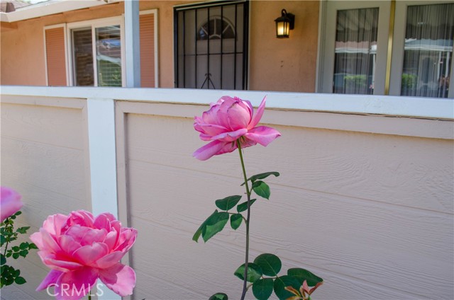 19152 Avenue Of The Oaks, Newhall CA: https://media.crmls.org/medias/85edddb0-a9c1-404e-b36c-7a99ddcf06d3.jpg