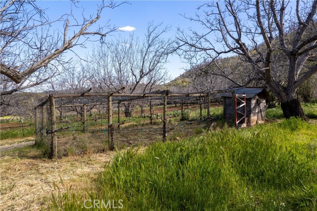 8993 Soda Bay Road, Kelseyville CA: https://media.crmls.org/medias/85f0f567-281b-4f19-9475-95efaff18322.jpg