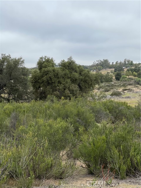 44 Sable Drive, Hemet, California 92544, ,Land,For Sale,44 Sable Drive,CRSW23155000