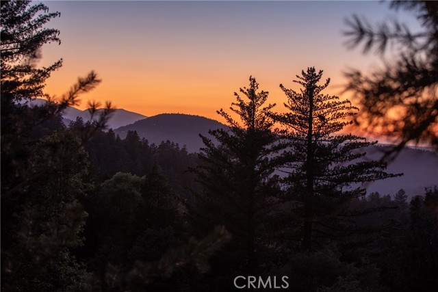 24032 Skyland Drive, Crestline CA: https://media.crmls.org/medias/85f55907-2aee-4a94-9cf2-4fa5fd4cb8c0.jpg