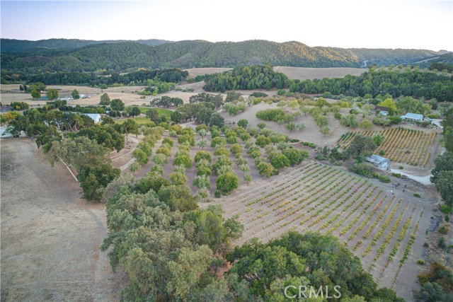 4350 Vineyard Drive, Paso Robles, CA, 93446 4350 Vineyard Drive, Paso Robles, CA, 93446