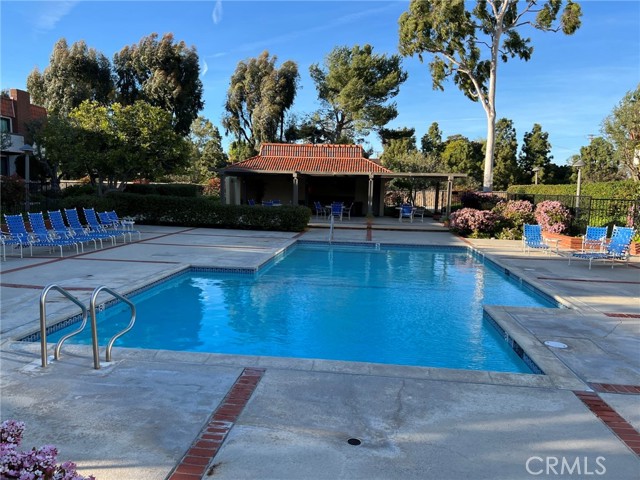 Pool to West of Unit Pool to West of Unit