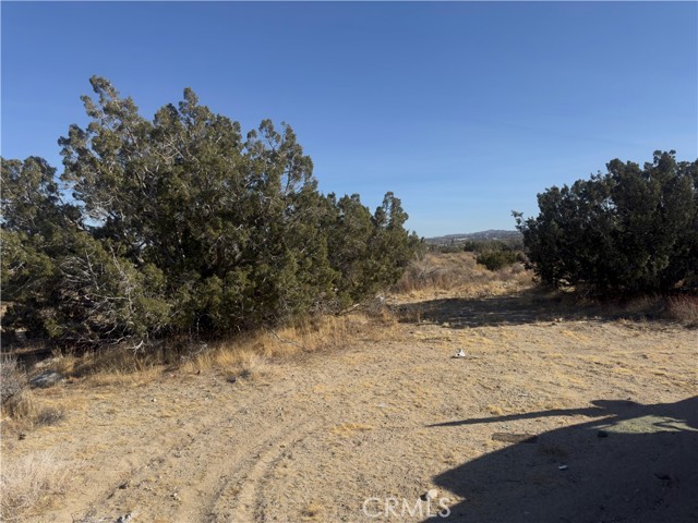 0 Avenue Y, Llano CA: https://media.crmls.org/medias/8608ad03-47c0-44bf-92f8-1822f620e212.jpg