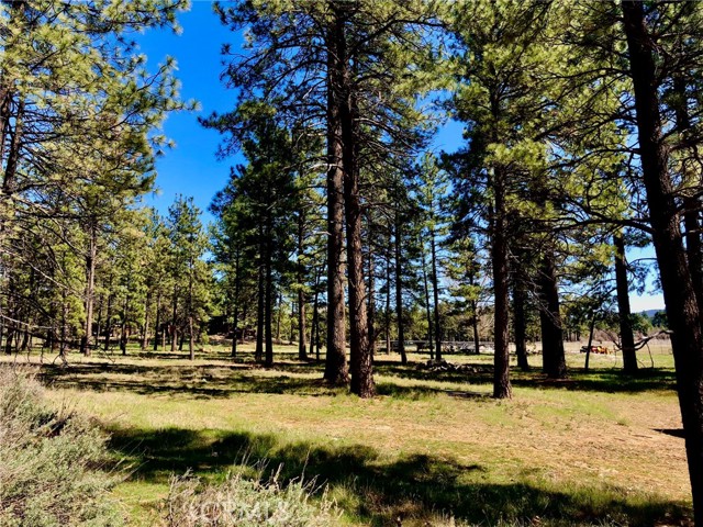 0 Butterfly Peak Rd, Mountain Center, CA, 92561 0 Butterfly Peak Rd, Mountain Center, CA, 92561