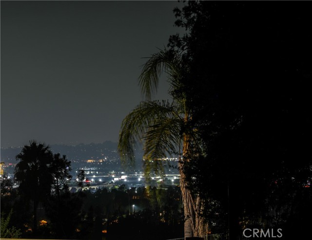 City lights from backyard and Kitchen.