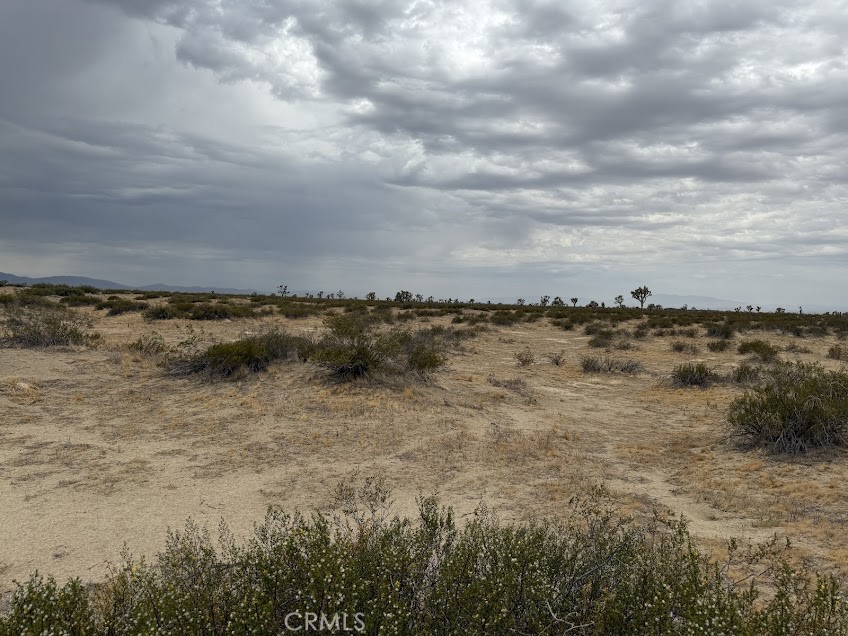 MLS #SR26165095 image #40