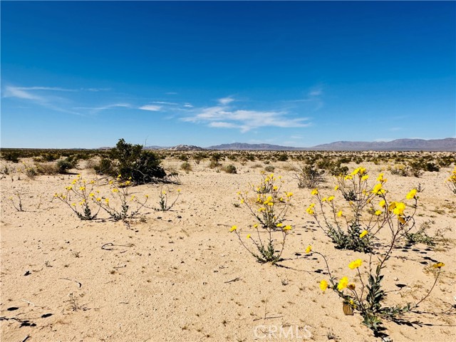 Detail Gallery Image 13 of 15 For 0 Near Shelton Rd, Twentynine Palms,  CA 92277 - – Beds | – Baths