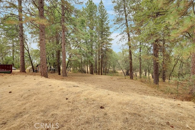 Image 4 of 60 For 13233 Dixon Hill Road
