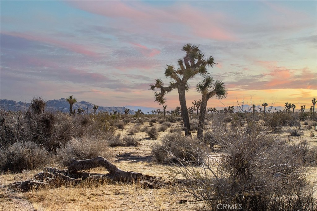 MLS #JT25097293 image #16