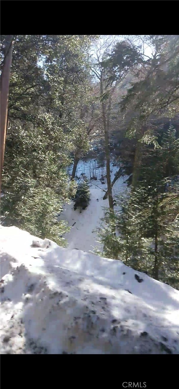 0 Saxon, Crestline CA: https://media.crmls.org/medias/86185044-2c06-406a-beb7-4ae9ee76a18a.jpg
