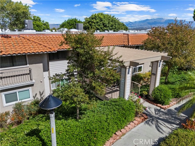 Front Image Thumbnail for CROC25241653