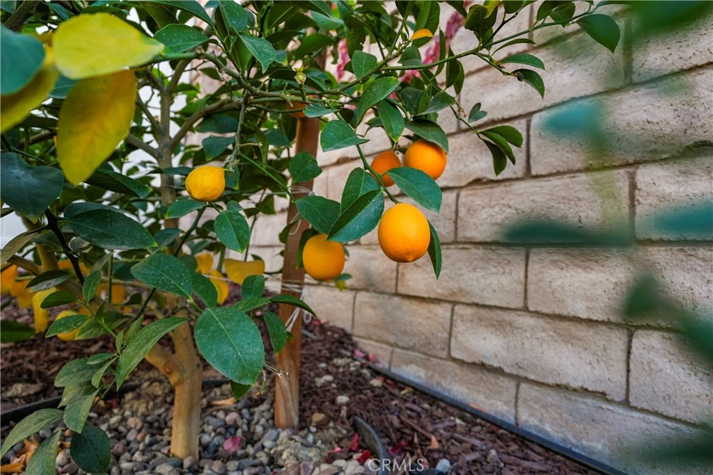 https://media.crmls.org/medias/861d065e-f84c-46a7-95db-dede74ae714b.jpg?preset=X-Large