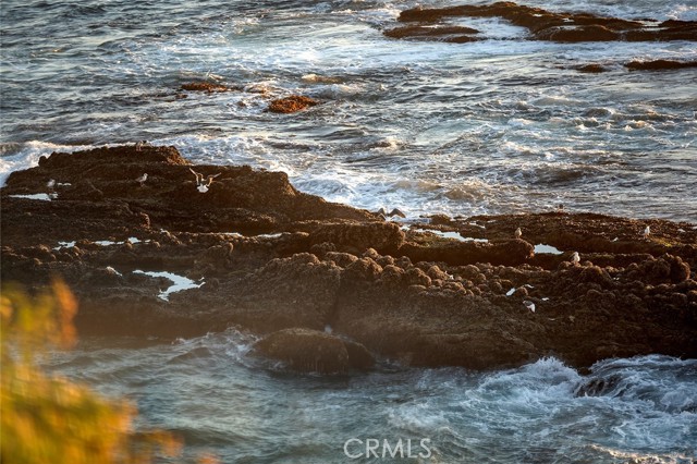 Detail Gallery Image 50 of 75 For 2665 Victoria Dr, Laguna Beach,  CA 92651 - 5 Beds | 4/2 Baths