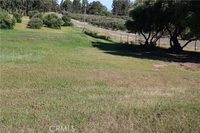 Detail Gallery Image 4 of 32 For 0 Carona Ave., Corning,  CA 96021 - – Beds | – Baths